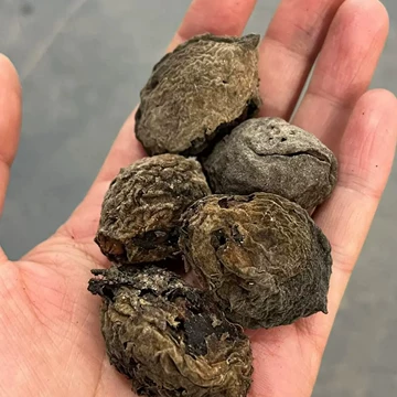 龙纹文玩核桃-龙纹文玩核桃促销价格、龙纹文玩核桃品牌- 淘宝