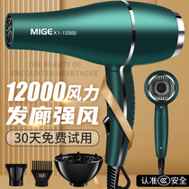 German imported hair dryer home quick-drying barber shop dedicated high-power 3000W negative ion hair care dormitory quiet