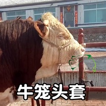 Big cow cage head rope cow cage head sleeve tie cattle reins braided nylon rope cattle for cattle farm