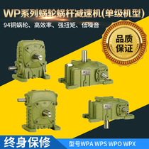 Worm gear reducer WPA WPS WPO WPX40 50 60 70 80 100 copper turbine Reducer