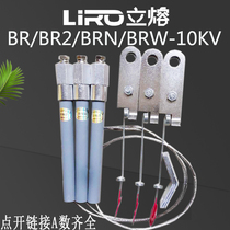 BR2 BRN BRW-10-12KV high voltage shunt capacitor 25A48A60A100A fuse tube fuse