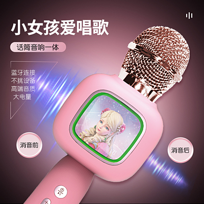 taobao agent Microphone, toy, Birthday gift