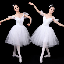 Dance dress ballet skirt Swan Lake performance Women adult long ballet dress