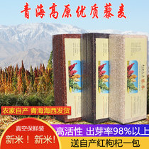 3 Jin three-color quinoa Qinghai first-level white quinoa rice farmers coarse grain grains Li Mai baby pregnant porridge