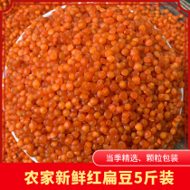 Fresh farmhouse red lentils 5 catties of red beans flat non-Turkish tomato red lentils horse chestnut beans grains