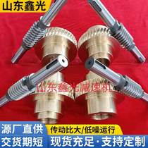 Metal worm gear accessories custom 1 5 die 2 die 2 5 die 3 die 4 die 45# worm reducer gear