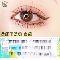 Dream Deer Fake Eyelash Female Segmental Super Natural Emulation Patch Already Cut well Single-tufted wool grafted eyelash FD12