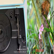 Retro vinyl machine portable record machine luggage machine phonograph machine living room European record player