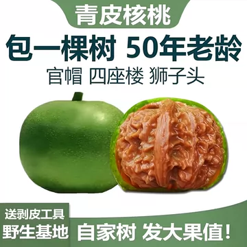 文玩核桃南瓜墩-文玩核桃南瓜墩促销价格、文玩核桃南瓜墩品牌- 淘宝