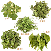 Natural Mint Leaves Rabbit Dry Grass Dandelion Sweet Chrysanthemum Leaf Mountain Lotus Leaf Mulberry Leaf Dragon Cat Guinea Pig Hamster Health Care Hay