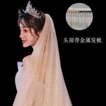 Head yarn Bride wedding wedding photo props original champagne headgear Super fairy sequins super long tailing