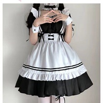 Meow spirit world maid dress cos cute maid women Big Brother Loita dress lolita dress lolita cosplay costume