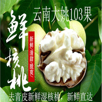 2021 Yunnan Chuxiong Dayao fresh wet walnut Dayao thin shell walnut Alpine wild century-old tree 103 fruit