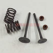 Adapting curved beam Weiwu SDH110-16 16A 19 19A valve spring valve oil seal intake and exhaust valve