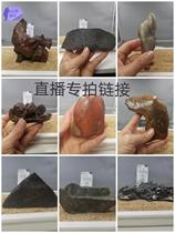  Xinjiang Gobi stone Fengling stone Mud stone Wood fossil Agate Taihu Stone Bonsai fish tank Rockery Calamus with stone
