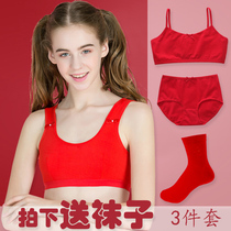 Girl red small vest 12 years old this year underwear set 13 developmental period children cotton girl bra Tiger year