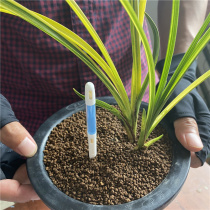 Orchid watering artifact Flower plant moisture meter hygrometer soil measurement Gardening flowers wet and dry flower letter sustee