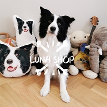 Bin Luna with custom diy pet 3d simulation dog pillow doll
