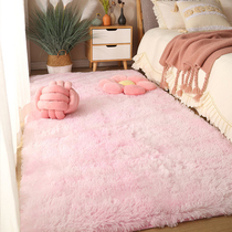2021 new living room carpet sofa tea table blanket girl room bedside blanket bedroom full of cat cushion