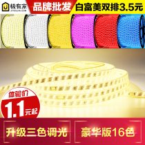 LED light belt super bright 5050 light belt 3014 double row 2835 light strip ceiling living room colorful remote control light belt waterproof