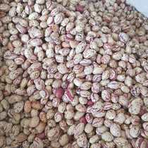 Guizhou farmers self-planted Big Bird eggs new milk flower beans peanut beans peanut beans rice dry goods new bird beans 10kg