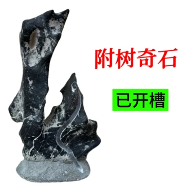 灵璧石观赏石-灵璧石观赏石促销价格、灵璧石观赏石品牌- 淘宝