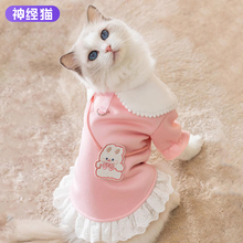 可爱小猫咪衣服秋季薄款布偶蓝猫英短幼猫猫宠物防掉毛秋天兔子裙