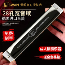 Germany imported reed Swan 28-hole polyphonic harmonica 24-hole accented C tune Advanced adults play beginner instruments