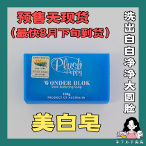 Under THE MEATBALL Ma MA PLUSH PUPPY WHITENING SOAP than bear poodle to remove tears yellow BEARD