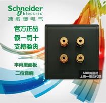 Schneider Switch Socket Panel Fengshang Freehand Black Four Sound Four Head Sound Four Position Sound