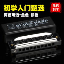 Obu Altman Hongkai harmonica with 10-hole beginner students children boys and girls self-study introductory lettering