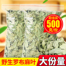 Apocynum Venetum leaves new 500g special wild Xinjiang native with bitter gourd slices green flowers and plants
