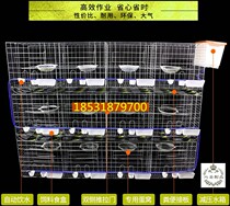 12 16-position cage thick matching cage pigeon cage breeding cage egg pigeon cage pigeon cage meat pigeon cage matching cage meat