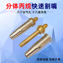 Cutting nozzle 100 type oxygen acetylene liquefied gas gas propane No 2 stainless steel 30 split plum-shaped gas cutting nozzle