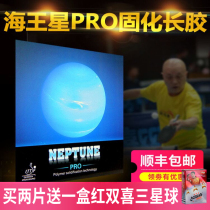 German craft Neptune professional long rubber single rubber in particle competition type weird curing long rubber