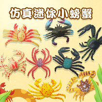  Simulation mini crab toy model set Marine animals set up childrens cognitive kindergarten early education props