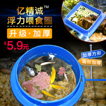 Fish feeding ring Goldfish Koi fish feeder Suspended automatic feeding ring Fish tank Special for fish with suction cup