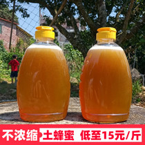 Native honey pure and natural farmers authentic wild lychee honey 2kg of non-crystalline honey