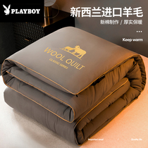 Wool quilt winter is thickened warm cotton quilt camel hair student camel is dormitory spring autumn winter quilt core cashmere quilt
