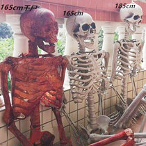 Halloween bar decorations Skeleton skeleton Room escape haunted house horror props Imitation adult scattered bones hanging ghost