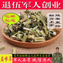 Fresh dry goods motherwort Chinese herbal medicine motherwort 500 grams motherwort dry tea natural sulfur-free motherwort powder