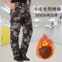 Camouflage freezer cold storage special cotton pants mens winter plus velvet thickened cold-proof overalls labor insurance pants loose