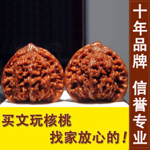Text to play walnut full of stars apple Orchard Four buildings Kirin White Lions 2 #