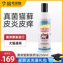 Australia pet new skin medicine bath cat dog skin disease shower gel acaricidal anti-itching spicy fungus wash cat ringworm