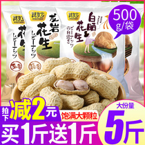 Longyan peanuts garlic spiced boiled peanuts crushed with shell white dried fried dormitory snacks melon seeds bulk
