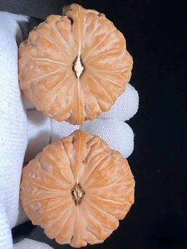 文玩堂：南瓜墩（雷蒙锤） 文玩核桃南瓜墩-文玩核桃南瓜墩促销价格、文玩核桃南瓜墩品牌- 淘宝