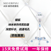 Silver Fox A30 herbal ion heat sprayer hydration steam face device Beauty salon special sprayer steam face