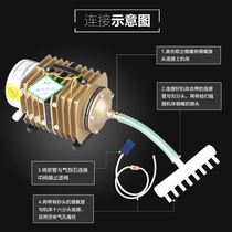 2021 New Sensen fish tank small aerated pump aquarium oxygen oxygenator fish oxygen machine selling fish oxygen