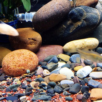 Natural original bottom sand sand fish turtle tank landscape stream sand big rock sand pebble flower pot landscape rain flower wash