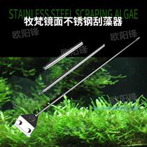 Bath removal shovel algae knife brush long handle tool fish tank moss remover algae removal moss removal tool